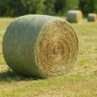 Pašarų ruošimui skirti produktai
