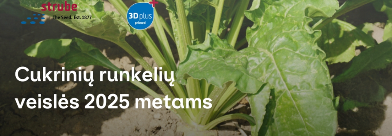Agrokoncerno Strube cukrinių runkelių veislių katalogas