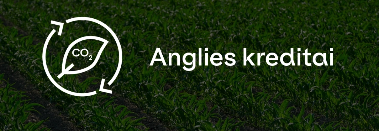 Agrokoncerno anglies kreditų programa
