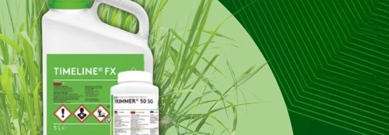 TIMELINE® FX + TRIMMER® 50 SG herbicidų naudojimas – pažangi piktžolių kontrolė laukuose