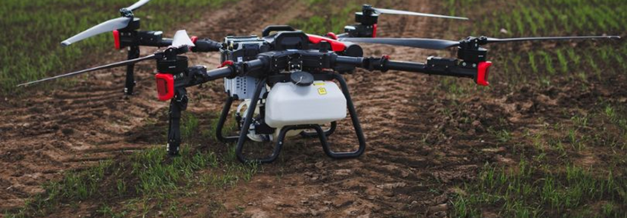 Efektyvūs sprendimai kukurūzų auginime – su Agrodronu