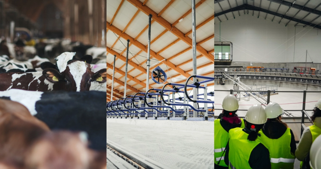 „Agrokoncerno grupė“ ir LSMU pasirašė bendradarbiavimo sutartį – kuriamas unikalus gyvulininkystės sektoriaus modelis Europoje