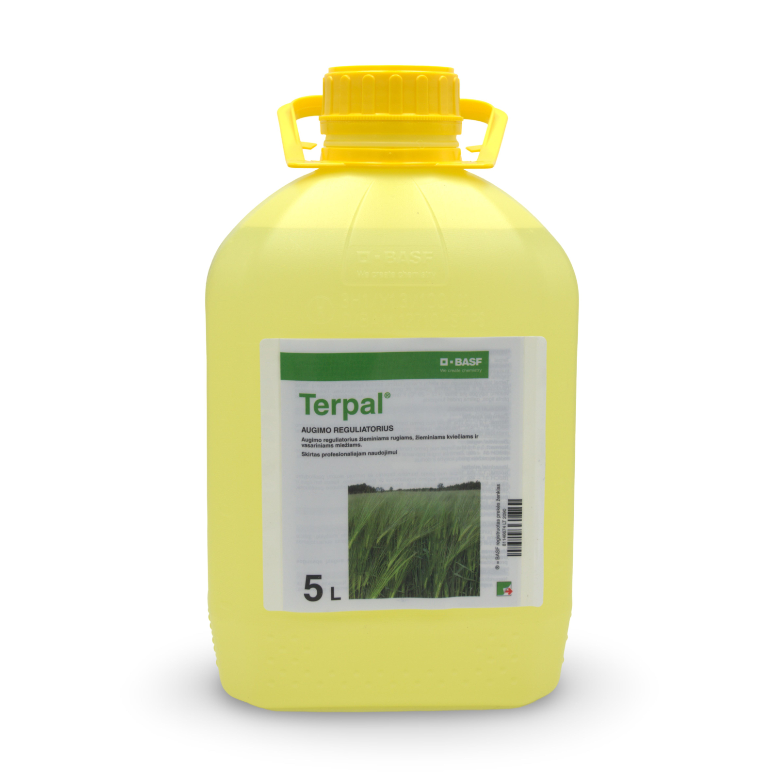 Terpal 4