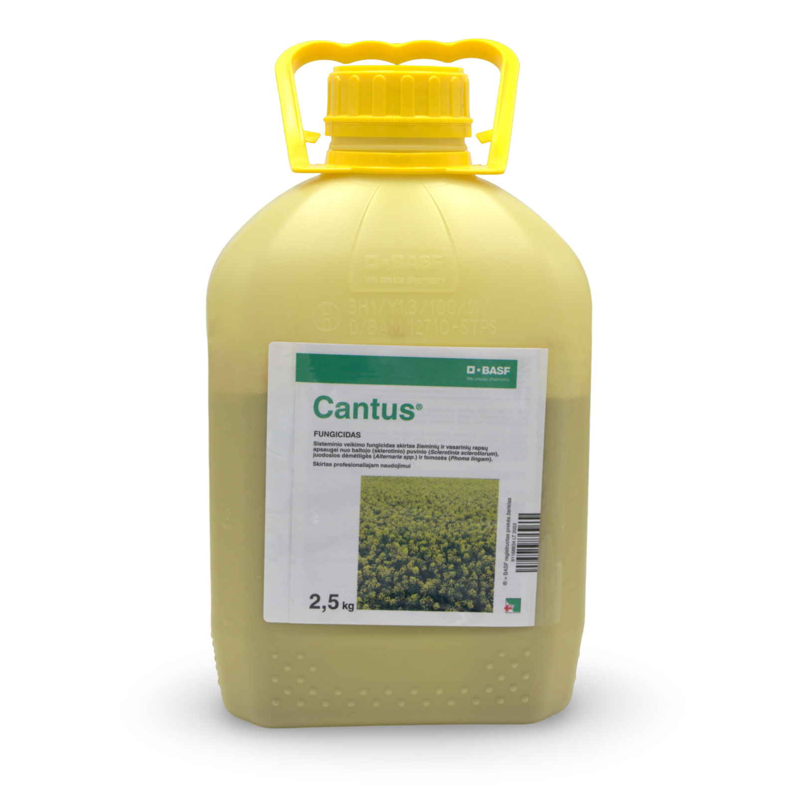 Cantus 4