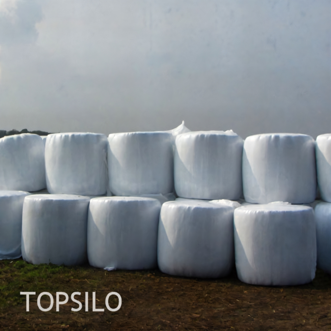 Pašarinių žolių mišinys TOPSILO 2