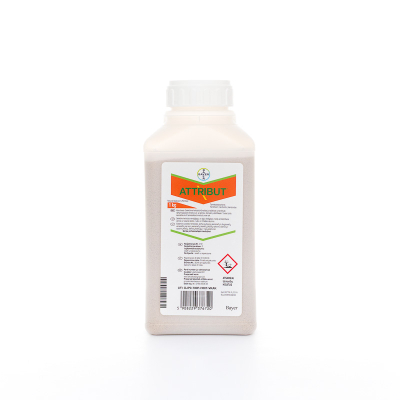 Attribut, 1 kg 1