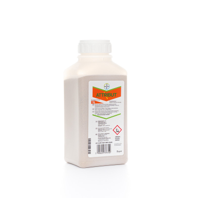 Attribut, 1 kg 2