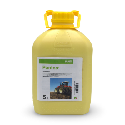 Pontos 1