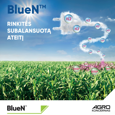 BlueN 2