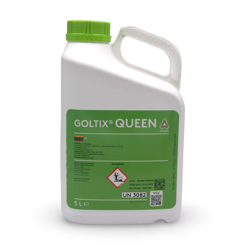 Goltix Queen
