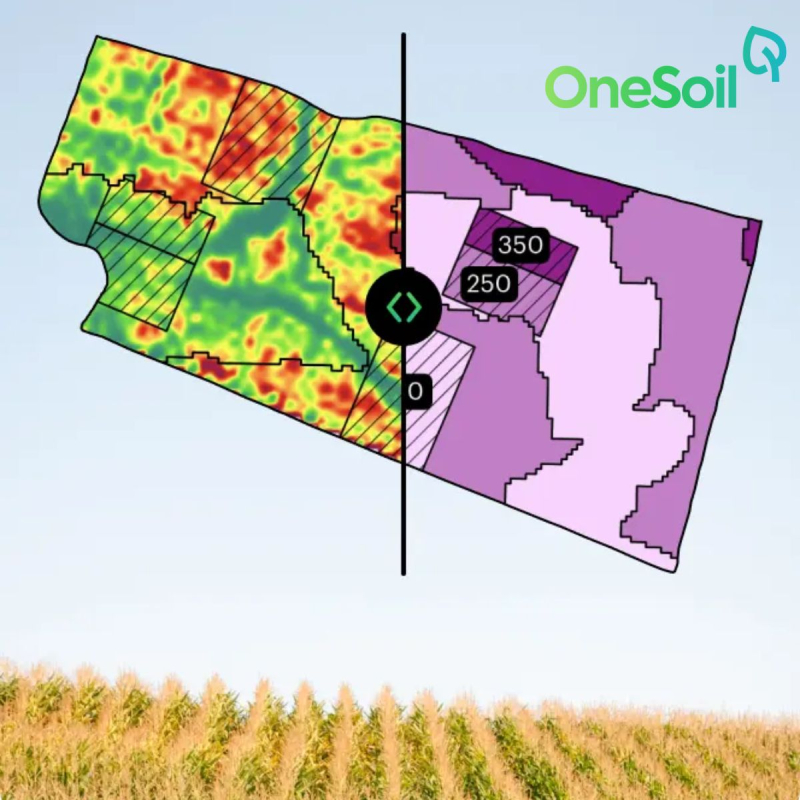 OneSoil